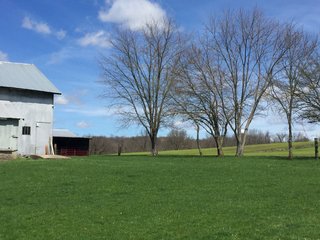 Property photo 16 - REAL ESTATE & LAND AUCTION - 105+/- ACRES IN 4 TRACTS IN BUTLER COUNTY, OHIO